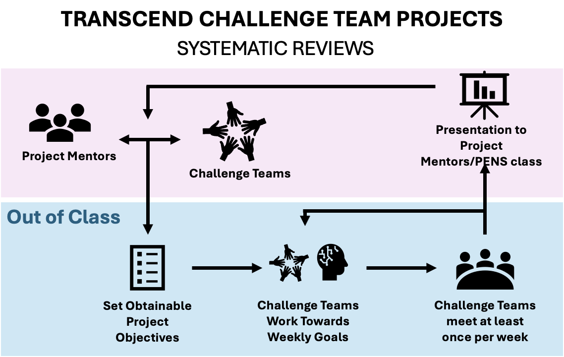 Challenge Team Project